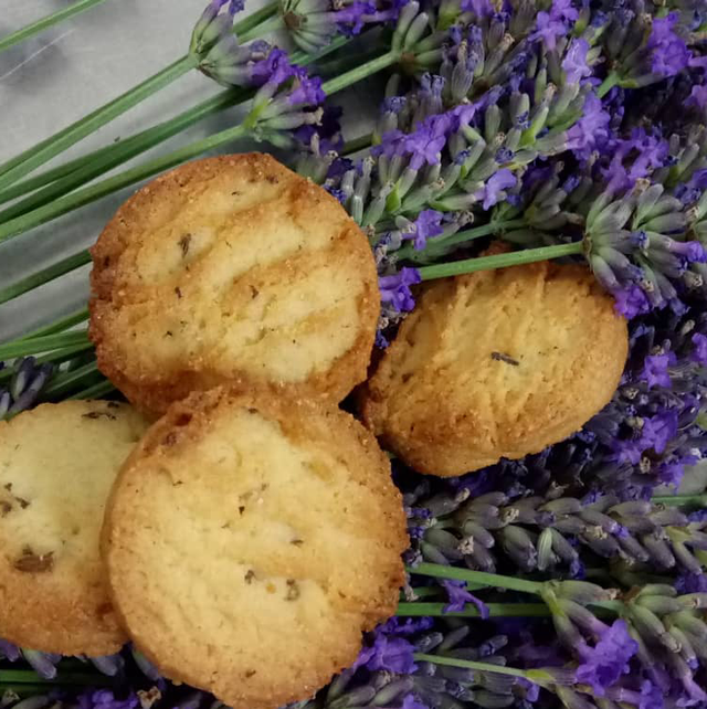 Sablé fleur de lavande