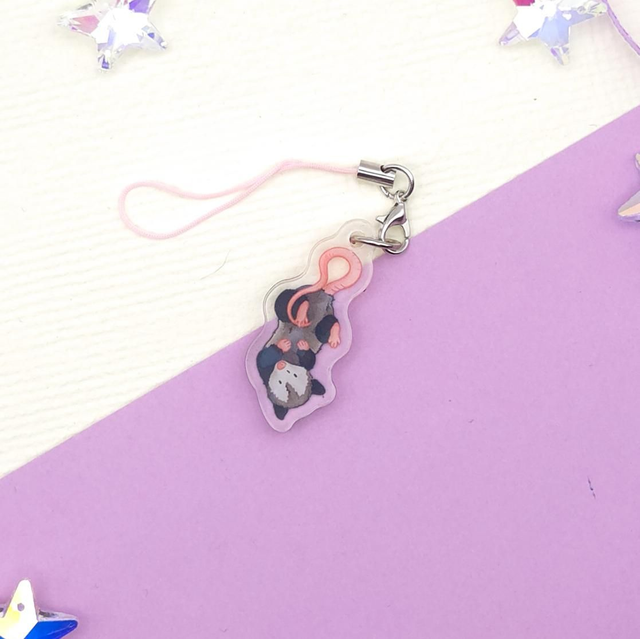 Opos do telefonu | ZWIERZĘTA 