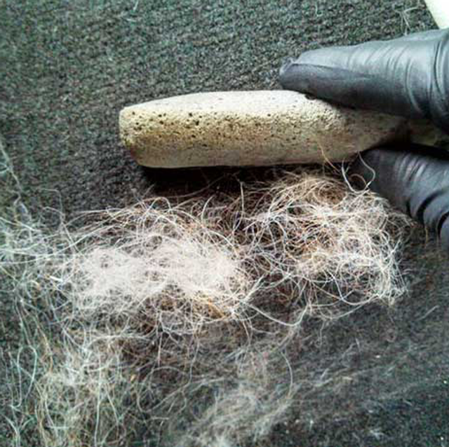 Véhicule avec du pelages d’animaux conséquent 