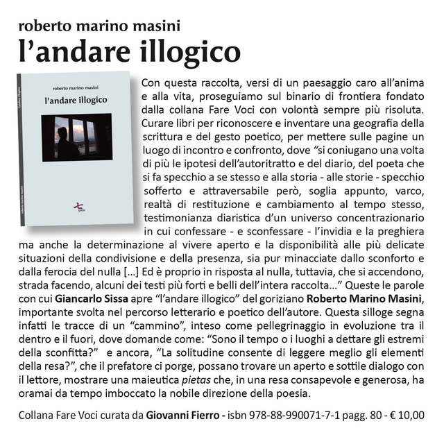 Roberto Marino Masini, "L'andare illogico", qudulibri 2016