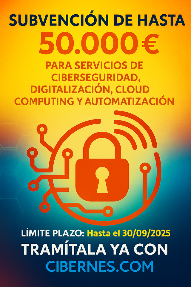 Subvención: Solicitar subvención con Cibernes.