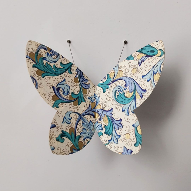 Spécimens série Volutes