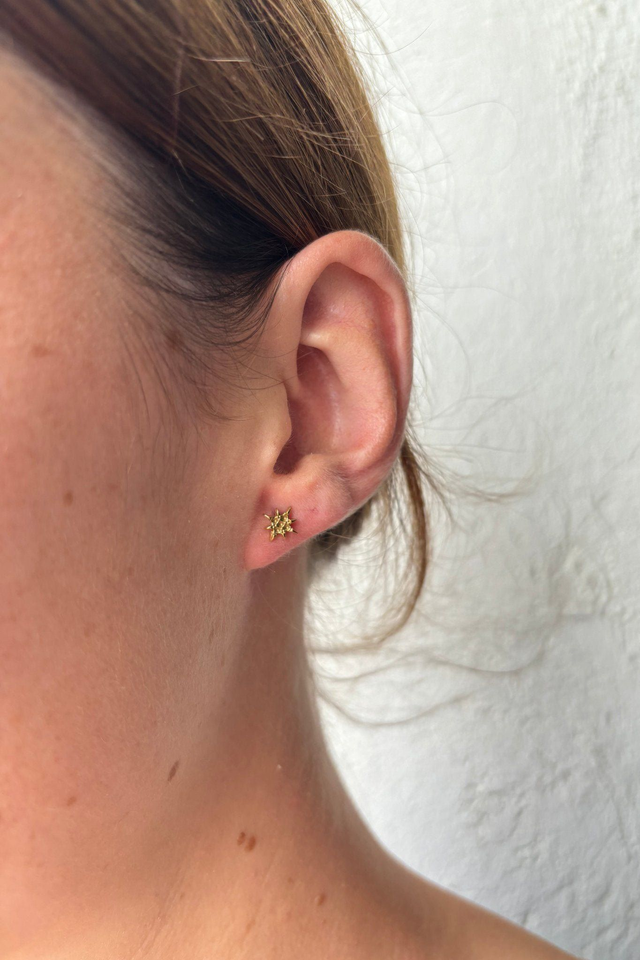 Etoile | Puces d'oreilles