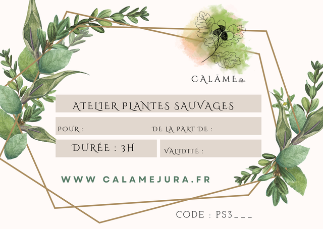 Bon cadeau Atelier sauvage