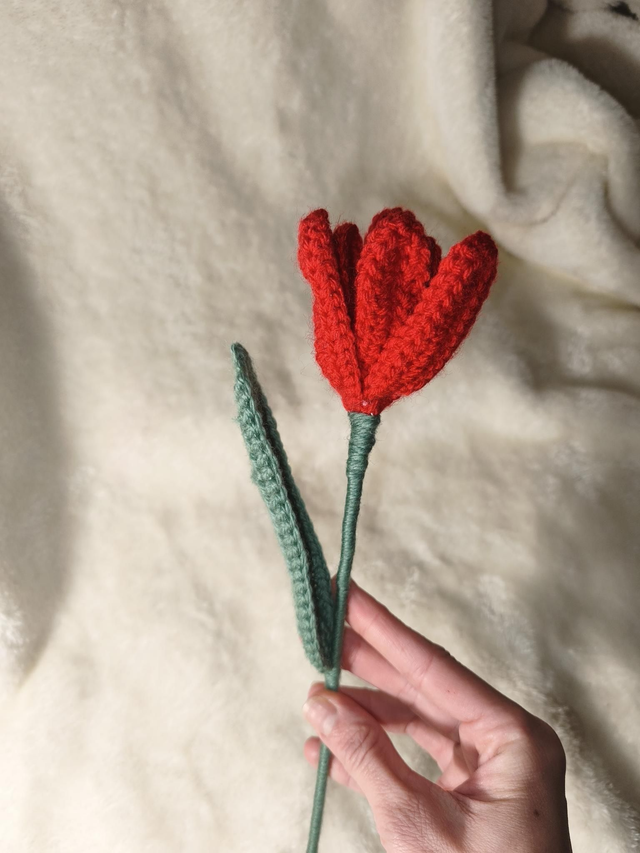 Tulipe