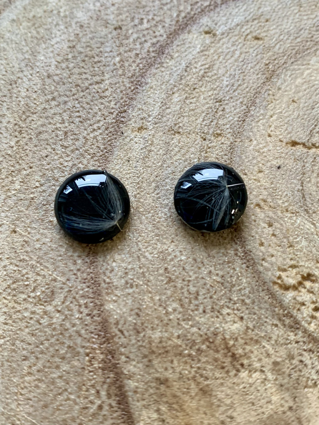 Pissenlits - puces d'oreilles