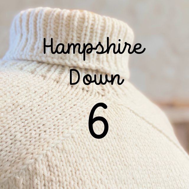 Hampshire 6 Fils 2023