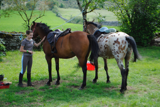 Balade à cheval - 5 séances