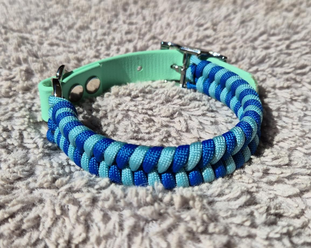 Collier biothane - Taille S