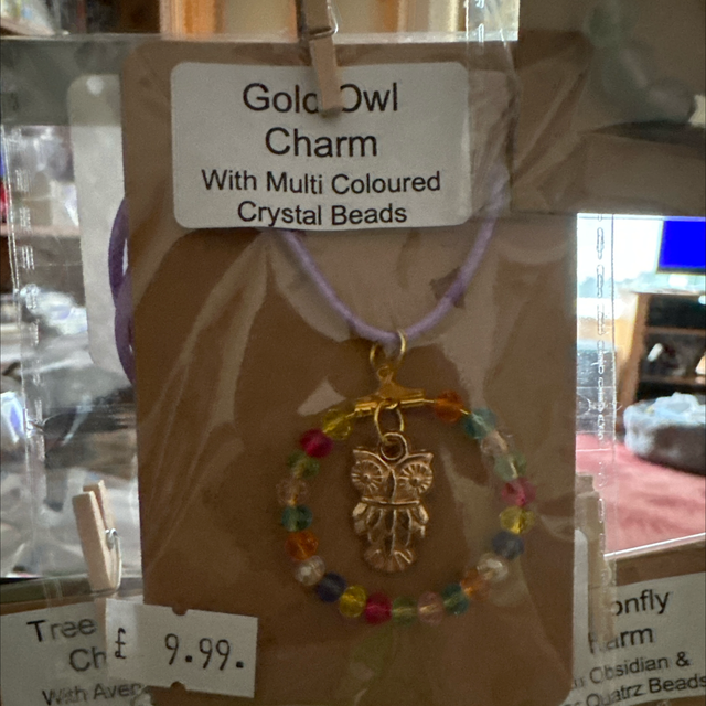 Gold Owl Charm with Multi Coloured Crystal Beads Necklace 