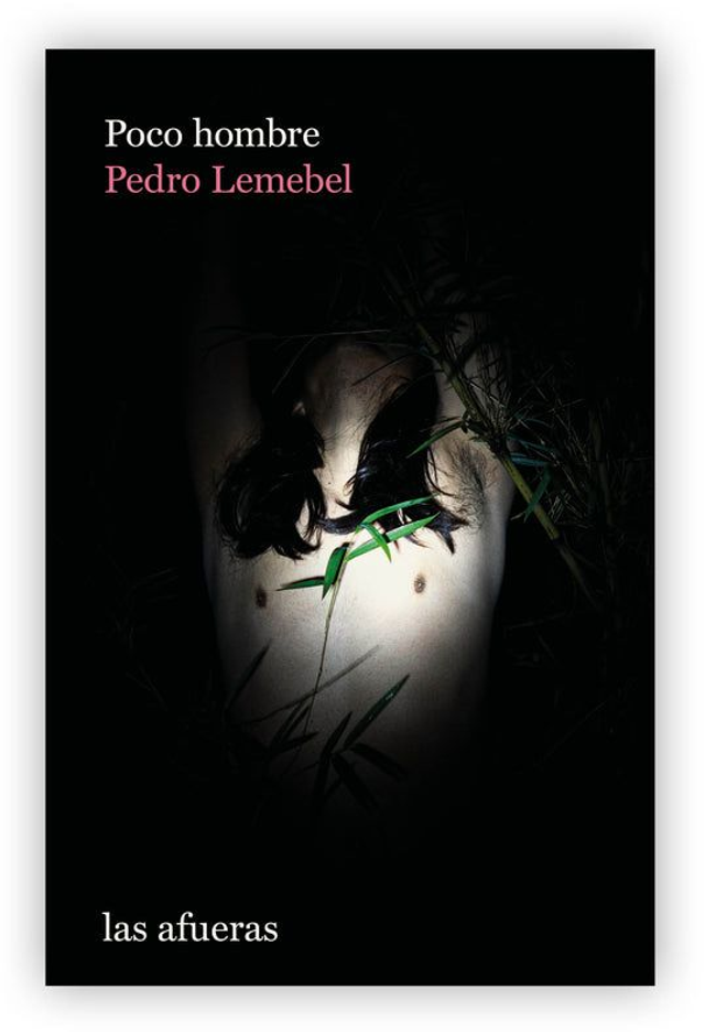 Poco hombre: Crónicas escogidas - Pedro Lemebel