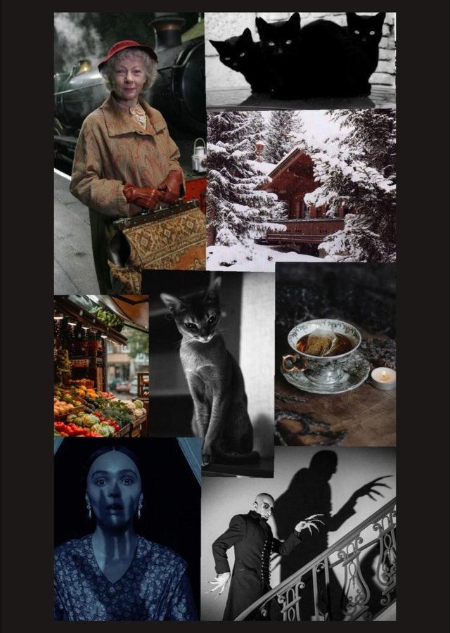 Carte postale 4 Chats