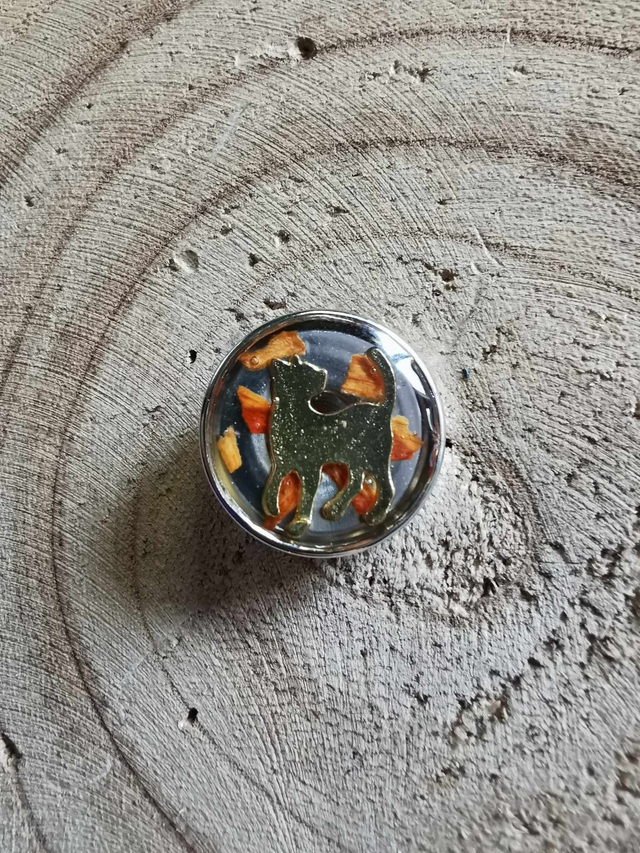 Chat or &amp; pétales orange