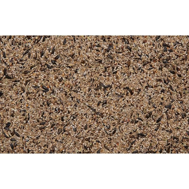 Semi della Salute 1 kg sfuso