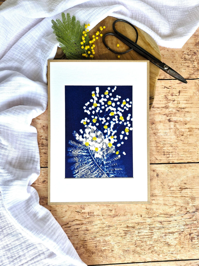 💙 Cyanotype encadré - 3 - Mimosa Ô!  