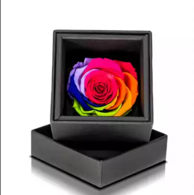 Rosa stabilizzata Rainbow