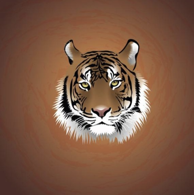 Jersey Panel 50x50 Tiger 