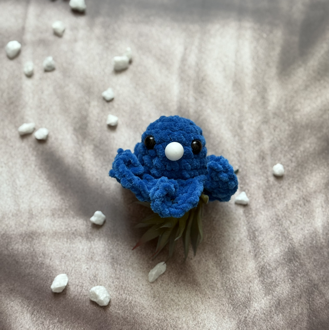 Antistress poulpe tout doux bleu roi