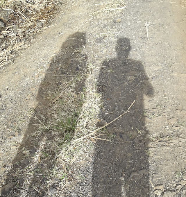 S'exercer à l'écoute 