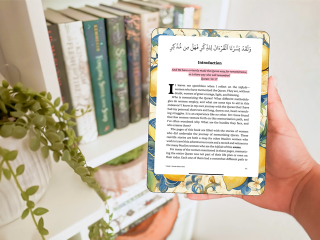 Skin pour liseuse - Zeste méditerranéen 