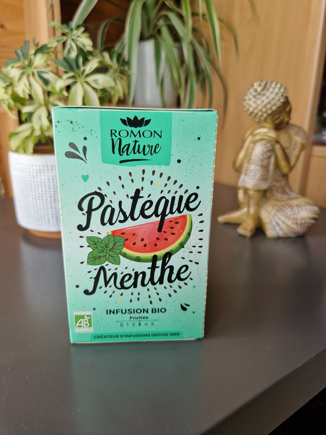 Infusion Pastèque et Menthe Bio