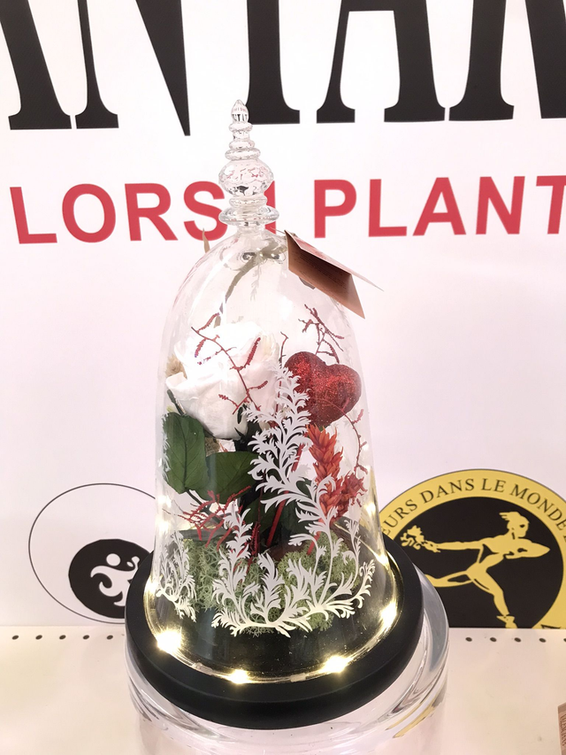 CUPULA CRISTAL LED CLASIC ROSA BLANCA D-17 Atura 29cm