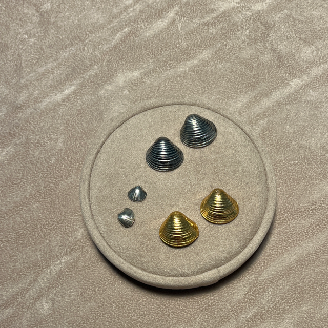 Lake Shells Earrings