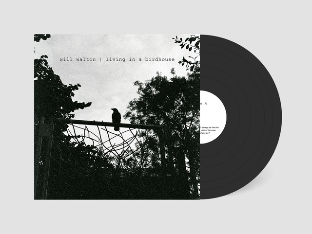 living in a birdhouse - 12” LP