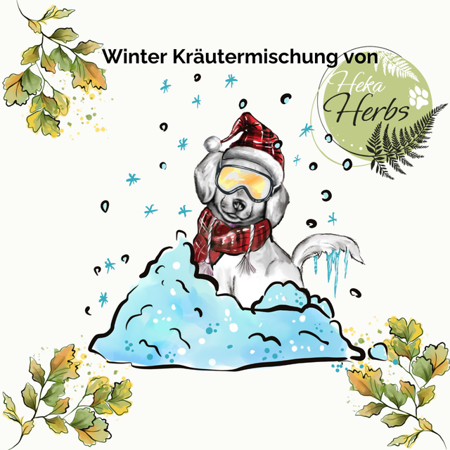 Winter Kräutermischung