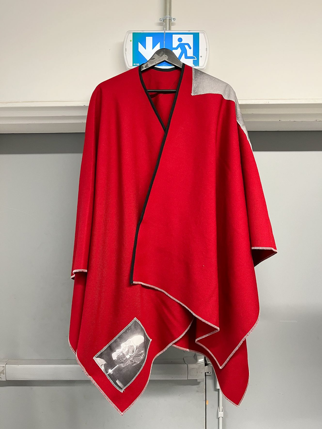 SUNRISE OF YESTERDAY FLOWERS cape