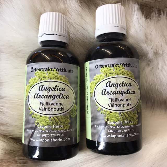 Väinönputki uute 50ml 