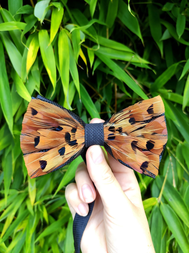 Noeud papillon Tissu et Plumes naturelles de Huppe