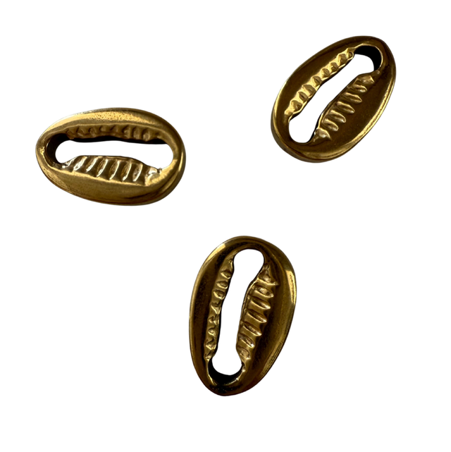 Coquillage Cauris doré 