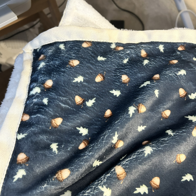 Acorn snuggle blanket 