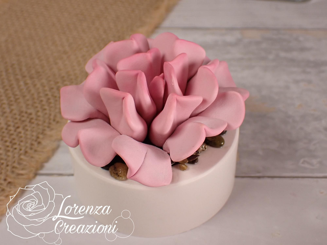 Pianta grassa sul rosa,  succulenta, artigianale modellata a mano in argilla polimerica (fimo). Made in Italy.
