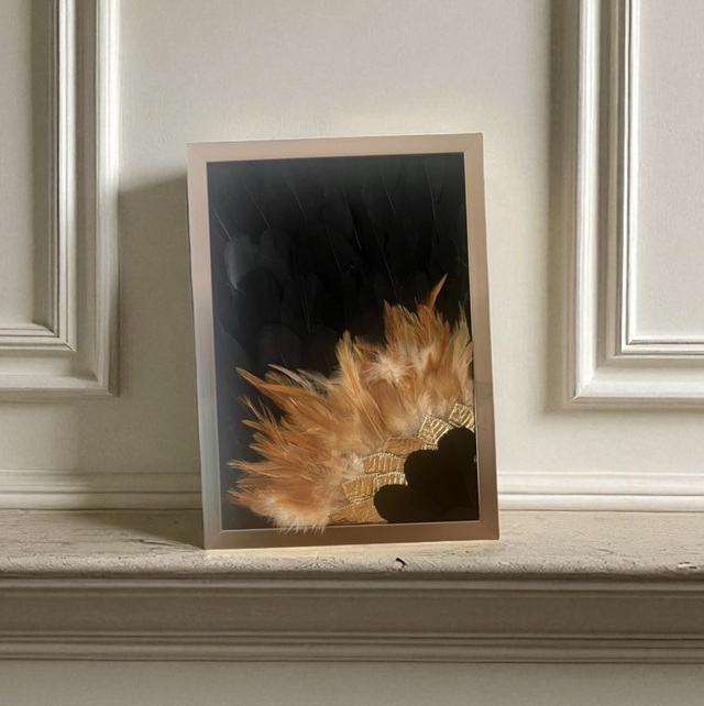 Cadre Jujuhat plumes noires et marrons soldé