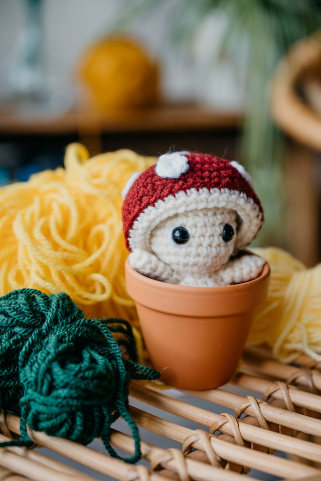 đ Petit champignon au crochet dans son pot