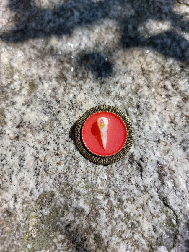 Broche crâne de corbeau rouge 