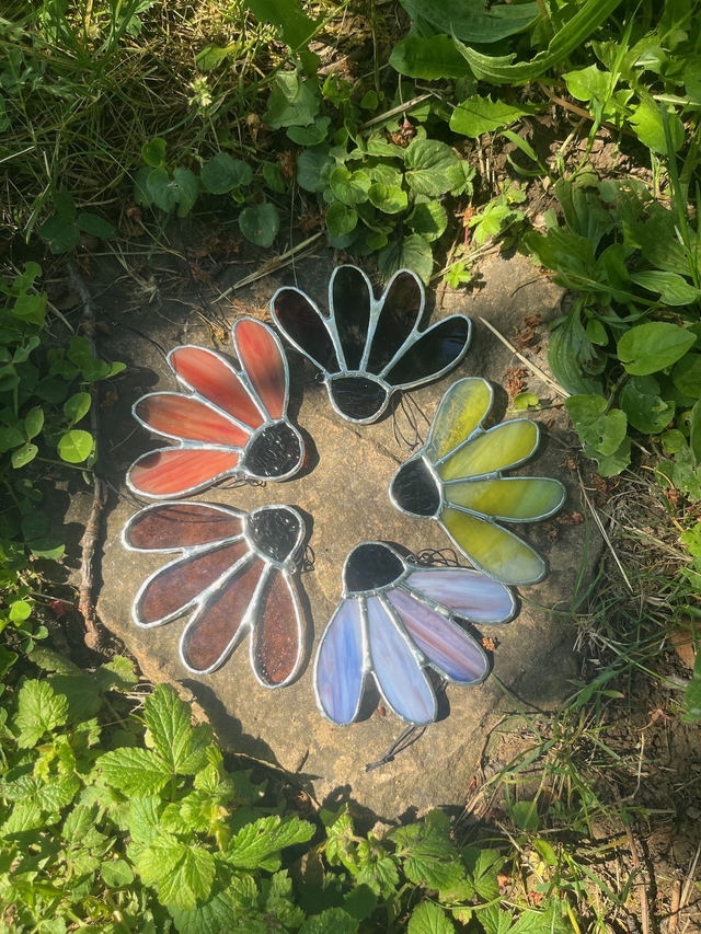 Les petites échinacées