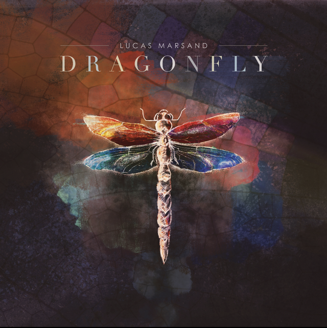 CD Dragonfly