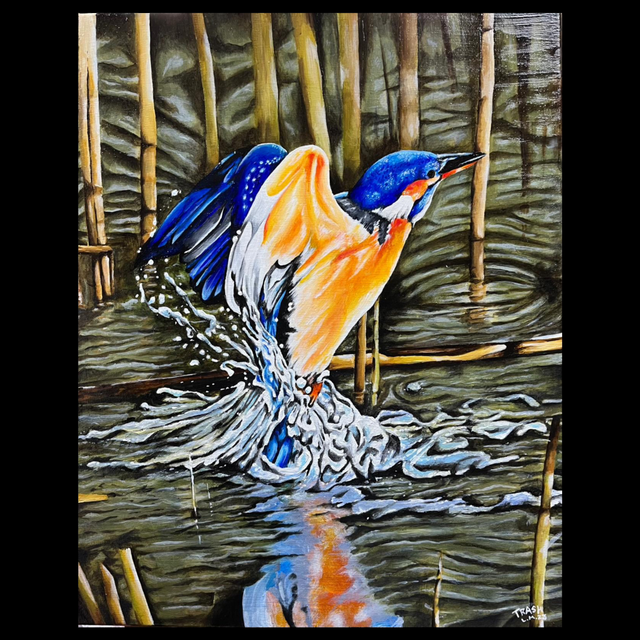 Kingfisher Limited Edition Primt 