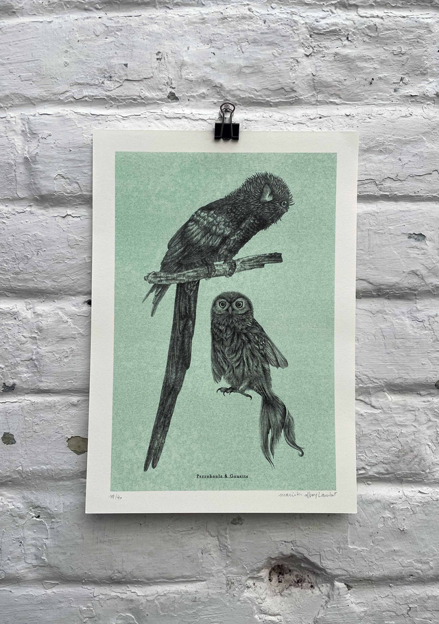 Perroboule &amp; Gouette — Riso 2 couleurs A4