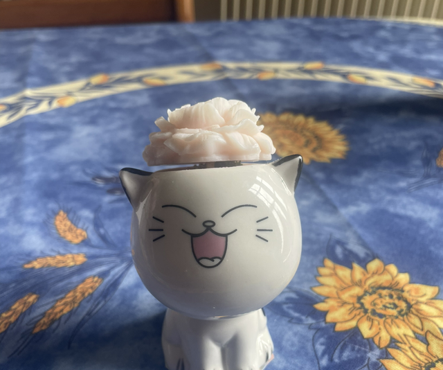 Petit chat 