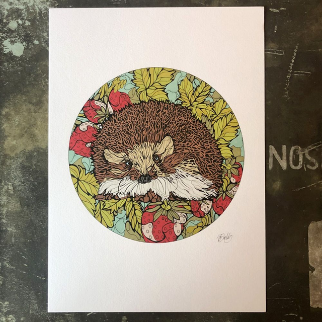 Hand-coloured print - hedgehog green