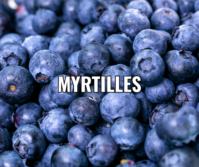 Confiture Myrtille 250g