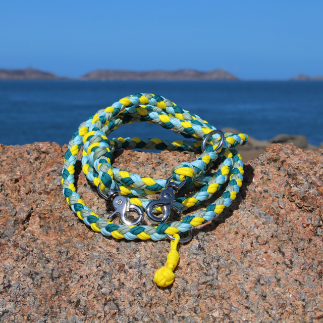 Laisse Canicorde 3 points