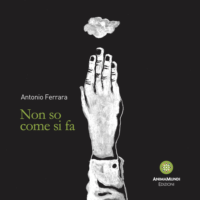 Ferrara Antonio - Non so come si fa 