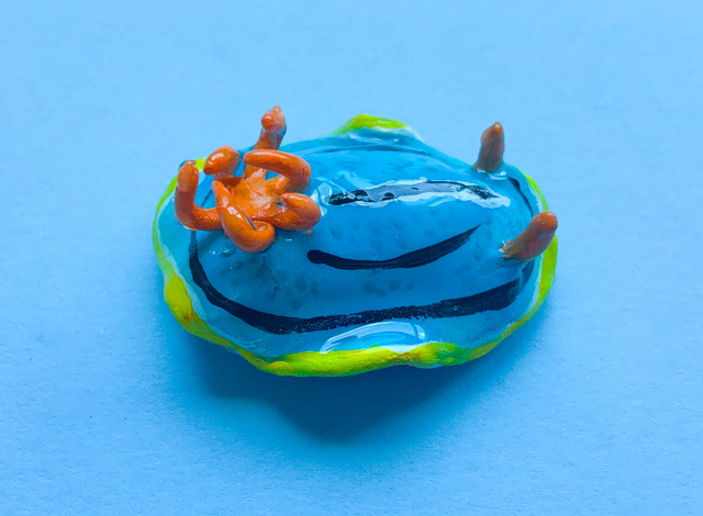 Arándano "Chromodoris hamiltoni"