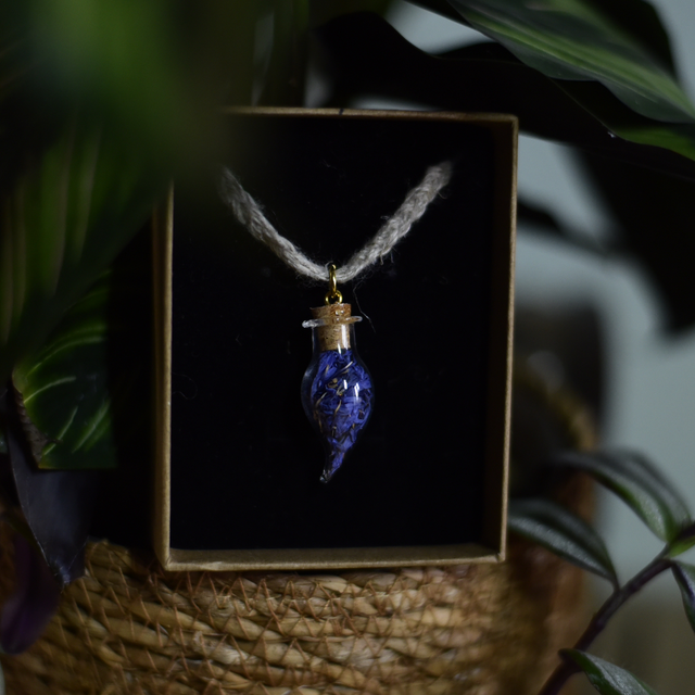 talisman fleurs de bleuet