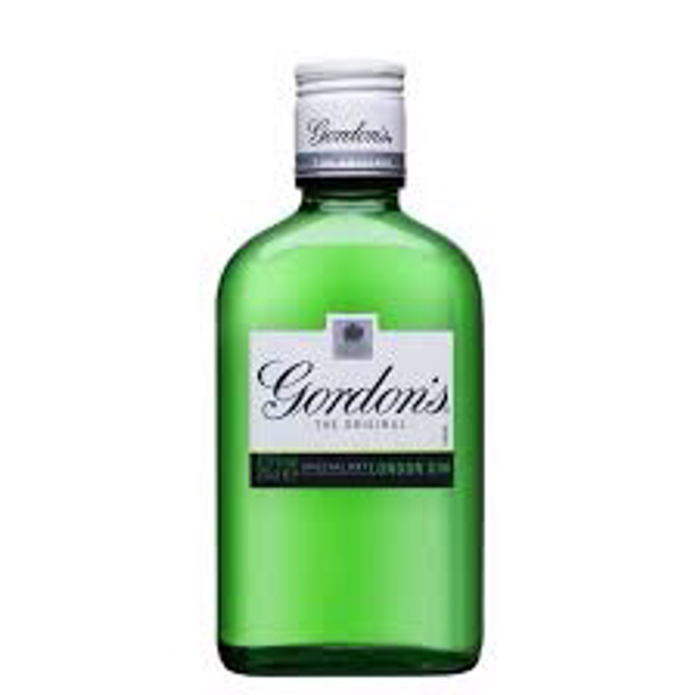 Gordons gin 20cl